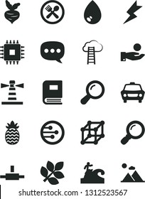 Solid Black Vector Icon Set - lightning vector, drop, car, pineapple, beet, lighthouse, catch a coin, speech, cpu, network, connect, magnifier, zoom, book, biology, 3d cube, cloud ladder, cafe