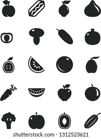 Solid Black Vector Icon Set - Hot Dog vector, mushroom, cucumber, carrot, orange, peach, apple, pomegranate, quince, red, fig, slice of water melon, loquat, delicious plum, tangerine, half guawa