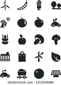 Solid Black Vector Icon Set - porcini vector, cabbage, apple, mint, tangerine, delicious, peas, broccoli, big solar panel, leaf, windmill, wind energy, hydroelectricity, trees, saving bulb, bag, sun