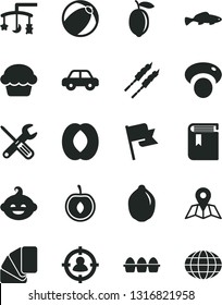 Solid Black Vector Icon Set - book vector, toys over the cradle, baby bath ball, motor vehicle, funny hairdo, small tools, sample of colour, map, flag, bundle eggs, cake, barbecue, fish, half peach