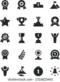 Solid Black Vector Icon Set - star vector, medal, winner, laurel branch, pedestal, podium, prize, award, cup, gold, man hands up, motivation, mountain flag, first place, with pennant, ribbon