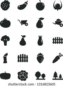 Solid Black Vector Icon Set - garden trolley vector, building, fence, hedge, tomato, carrot, strawberries, pear, squash, raspberry, rose hip, tasty plum, physalis, apple stub, broccoli, eggplant