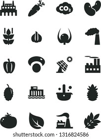 Solid Black Vector Icon Set - tomato vector, carrot, mint, mulberry, ripe pineapple, physalis, Bell pepper, garlic, beans, mashroom, big solar panel, leaf, manufacture, factory, industrial building