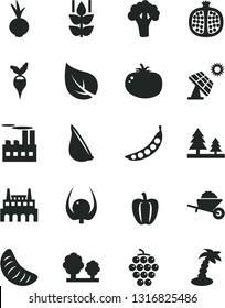 Solid Black Vector Icon Set - garden trolley vector, tomato, beet, garlic, mint, half pomegranate, large grape, slice of tangerine, physalis, Bell pepper, peas, broccoli, radish, big solar panel