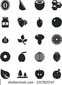 Solid Black Vector Icon Set - mushroom vector, cabbage, garlic, jar of jam, honeycombs, branch grape, tasty apple, raspberry, mulberry, water melon, loquat, half, orange, coconut, slice pineapple