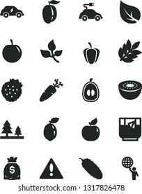 Solid Black Vector Icon Set - warning vector, cucumber, carrot, a glass of tea, strawberries, apricot, half loquat, ripe plum, tasty, kiwi, sour lime, pepper, leaves, leaf, forest, electric car