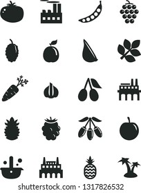 Solid Black Vector Icon Set - tomato vector, garlic, a pineapple, large grape, cornels, blackberry, mulberry, goji berry, tasty plum, guava, ripe, carrot, peas, industrial building, factory, biology