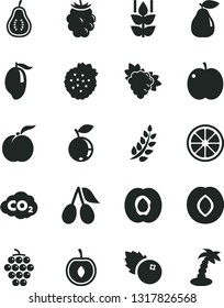 Solid Black Vector Icon Set - blueberries vector, strawberries, mint, ripe peach, apple, half apricot, branch of grape, large, pear, plum, cornels, blackberry, blueberry, mango, cherry, juicy lemon