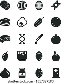 Solid Black Vector Icon Set - cheese vector, a glass of tea, fried egg, jar jam, apple, biscuit, pancakes, orange, pomegranate, raspberry, fig, tasty, mulberry, melon, water, cucumber, dna, pipette