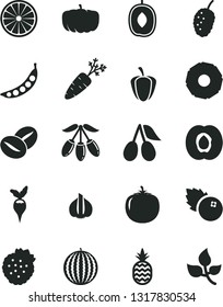 Solid Black Vector Icon Set - coffee beans vector, blueberries, strawberries, a pineapple, half apricot, cornels, tasty mulberry, water melon, goji berry, delicious plum, of orange, slice, persimmon