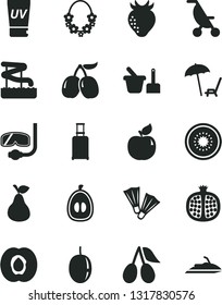 Solid Black Vector Icon Set - summer stroller vector, toy sand set, pear, half apricot, pomegranate, strawberry, cornels, tasty, loquat, passion fruit, of kiwi, rolling suitcase, uv cream, aquapark