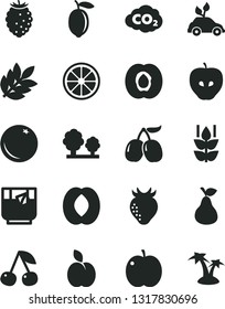 Solid Black Vector Icon Set - a glass of tea vector, apple, pear, orange, mint, cherry, half apricot, tasty, strawberry, raspberry, cornels, peach, lemon, juicy, trees, carbon dyoxide, biology