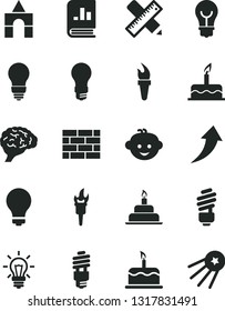Solid Black Vector Icon Set - matte light bulb vector, children's hairdo, box of bricks, cake, birthday, brickwork, saving, writing accessories, energy, book on statistics, brain, flame torch