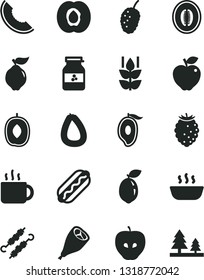 Solid Black Vector Icon Set - stick of sausage vector, Hot Dog, porridge, grill chicken leg, meat on skewers, cup tea, jar jam, mint, half apricot, quince, red apple, tasty, raspberry, mulberry