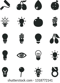 Solid Black Vector Icon Set - matte light bulb vector, new roller, saving, eye, drop, pomegranate, cornels, tasty, energy, flag on moon, gold ring