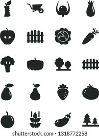 Solid Black Vector Icon Set - building trolley vector, fence, hedge, tomato, carrot, pear, mint, squash, tasty apple, raspberry, rose hip, plum, physalis, stub, broccoli, eggplant, pumpkin, trees