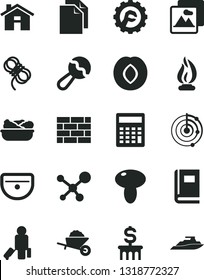 Solid Black Vector Icon Set - house vector, clean paper, calculator, beanbag, brickwork, garden trolley, sink, hawser, star gear, picture, mushroom, lettuce in a plate, plum, molecule, book, flame