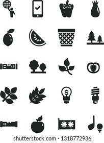 Solid Black Vector Icon Set - wicker pot vector, construction level, building, peper, apricot, rose hip, slice of water melon, sour lime, half tomato, leaves, trees, forest, energy saving bulb, idea