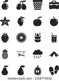 Solid Black Vector Icon Set - wicker pot vector, rainy cloud, suitcase, a glass of soda, mint, ripe peach, pear, blackberry, blueberry, tasty cornels, mango, half loquat, plum, kiwi, pineapple, tent