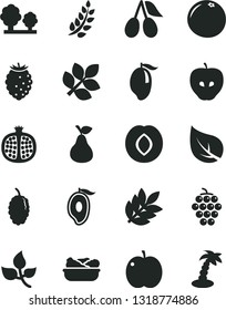 Solid Black Vector Icon Set - lettuce in a plate vector, pear, apple, half pomegranate, large grape, tasty, plum, cornels, raspberry, mulberry, mango, of, grapefruit, leaves, leaf, trees, biology