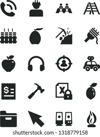 Solid Black Vector Icon Set - motor vehicle present vector, ladder, radiator, hammer with claw, folder, phone call, spaghetti, red apple, loquat, sour lime, coal mining, builder, man in sight, flame