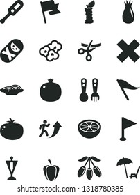 Solid Black Vector Icon Set - wind direction indicator vector, cross, pennant, electronic thermometer e, tumbler, plastic fork spoons, flag, slices of onion, tomato, popcorn, pomegranate, rose hip