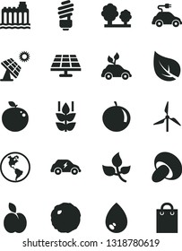 Solid Black Vector Icon Set - saving light bulb vector, drop, porcini, cabbage, apple, mint, tangerine, delicious, solar panel, big, leaves, leaf, windmill, planet Earth, hydroelectricity, trees
