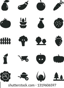 Solid Black Vector Icon Set - garden trolley vector, building, fence, tomato, carrot, strawberries, pear, mint, squash, tasty apple, raspberry, plum, physalis, stub, broccoli, eggplant, pumpkin