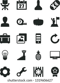 Solid Black Vector Icon Set - daily calendar vector, woman, clockwise, tumbler, long meashuring tape, picture, case, screen, a pineapple, pumpkin, bulb, radiator fan, pc tower, chair, repair, pawn