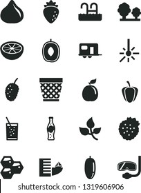 Solid Black Vector Icon Set - wicker pot vector, a glass of soda, bottle, strawberries, honeycombs, raspberry, fig, tasty mulberry, delicious plum, date fruit, guava, half grapefruit, ripe pepper