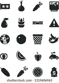 Solid Black Vector Icon Set - warning vector, wicker pot, building level, cabbage, cucumber, carrot, a glass of tea, mint, pear, slice water melon, half passion fruit, tomato, ripe pepper, hot