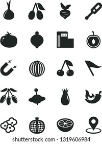 Solid Black Vector Icon Set - wind direction indicator vector, electronic thermometer e, yule, tomato, chili, popcorn, cherry, half pomegranate, rose hip, cornels, medlar, water melon, goji berry