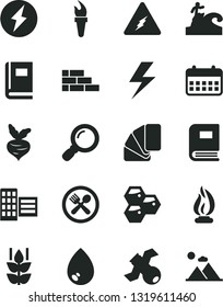 Solid Black Vector Icon Set - lightning vector, brick wall, sample of colour, city block, drop, mint, honeycombs, beet, calendar, magnifier, electricity, satellite, book, flame, torch, cafe, surfing