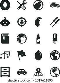 Solid Black Vector Icon Set - sign of the planet vector, book, toys over cot, baby bath ball, motor vehicle, funny hairdo, small tools, map, flag, nightstand, barbecue, liquor, half peach, lemon