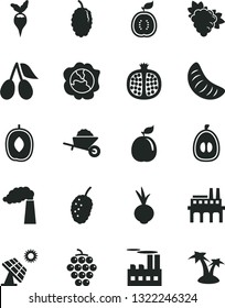 Solid Black Vector Icon Set - garden trolley vector, beet, half pomegranate, branch of grape, large, squash, cornels, mulberry, tasty, delicious plum, slice tangerine, loquat, guava, guawa, radish