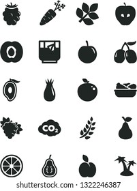Solid Black Vector Icon Set - lettuce in a plate vector, glass of tea, apple, pear, half apricot, branch grape, tasty, rose hip, blackberry, cornels, mango, plum, juicy lemon, delicious, part guava