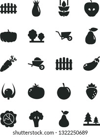 Solid Black Vector Icon Set - garden trolley vector, building, fence, hedge, tomato, carrot, pear, mint, squash, tasty apple, raspberry, rose hip, plum, physalis, broccoli, eggplant, pumpkin, trees