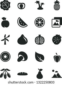 Solid Black Vector Icon Set - picture vector, loaf, porcini, strawberries, pear, orange slice, peach, half pomegranate, squash, fig, goji berry, juicy lemon, of kiwi, pineapple, tomato, ripe pepper
