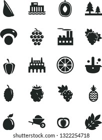 Solid Black Vector Icon Set - garden trolley vector, garlic, a pineapple, grape, branch of, large, blackberry, mulberry, delicious plum, juicy lemon, guava, half tomato, ripe pepper, mashroom