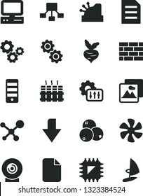 Solid Black Vector Icon Set - downward direction vector, brickwork, radiator, picture, lens, blueberries, beet, marine propeller, smd, gears, hierarchical scheme, cashbox, computer, pc tower, file