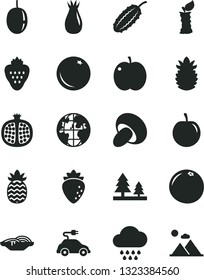 Solid Black Vector Icon Set - cloud vector, slices of onion, porcini, strawberry, orange, apple, half pomegranate, raspberry, rose hip, tasty plum, passion fruit, ripe pineapple, grapefruit, stub