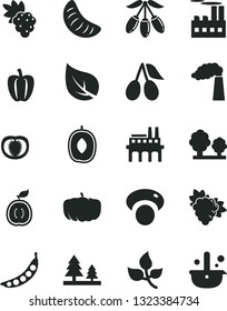 Solid Black Vector Icon Set - grape vector, branch of, cornels, goji berry, delicious plum, slice tangerine, half guawa, tomato, Bell pepper, peas, mashroom, pumpkin, leaves, leaf, manufacture