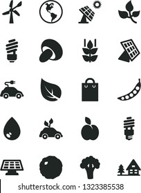 Solid Black Vector Icon Set - saving light bulb vector, drop, porcini, cabbage, apple, mint, peas, broccoli, big solar panel, leaves, leaf, wind energy, planet Earth, electric car, bag, sun