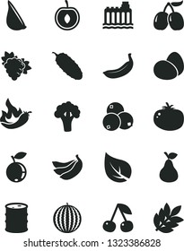 Solid Black Vector Icon Set - eggs vector, cucumber, tomato, garlic, pear, cherry, branch of grape, blueberry, blueberries, tasty cornels, water melon, half, banana, bananas, hot pepper, broccoli