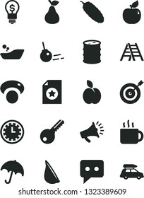 Solid Black Vector Icon Set - clock face vector, children's bathroom, ladder, key, core, umbrella, cucumber, garlic, cup of tea, apple, pear, apricot, mashroom, barrel, horn, think, target, idea