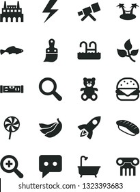 Solid Black Vector Icon Set - lightning vector, magnifier, zoom, teddy bear, plastic brush, bath, building level, big burger, lollipop, japanese sushi, small fish, bananas, leaves, think, telescope