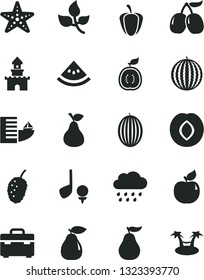 Solid Black Vector Icon Set - rainy cloud vector, suitcase, pear, apricot, plum, tasty mulberry, cornels, melon, water, half of guawa, ripe guava, slice, pepper, leaves, sand castle, hotel, starfish