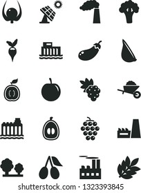 Solid Black Vector Icon Set - garden trolley vector, garlic, grape, large, cornels, half loquat, tasty plum, of guawa, physalis, broccoli, eggplant, radish, big solar panel, manufacture, trees