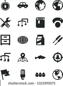 Solid Black Vector Icon Set - sign of the planet vector, book, toys over cradle, cot, motor vehicle, small tools, map, flag, nightstand, package, bundle eggs, barbecue, fish, half cherry, mashroom