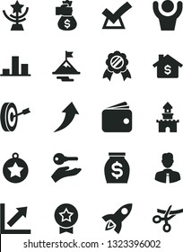 Solid Black Vector Icon Set - growth chart vector, employee, wallet, money, star cup, medal, motivation, purpose, bag hand, arrow up, arm with key, confirm, hands man, mortgage, rocket, sand castle